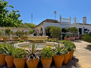 Property grounds - Finca El Refugio - Ole Solutions (Medina Sidonia)