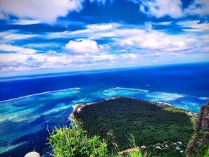 Eine Küstenlandschaft mit einer bewaldeten Insel und klarem, blauem Wasser.