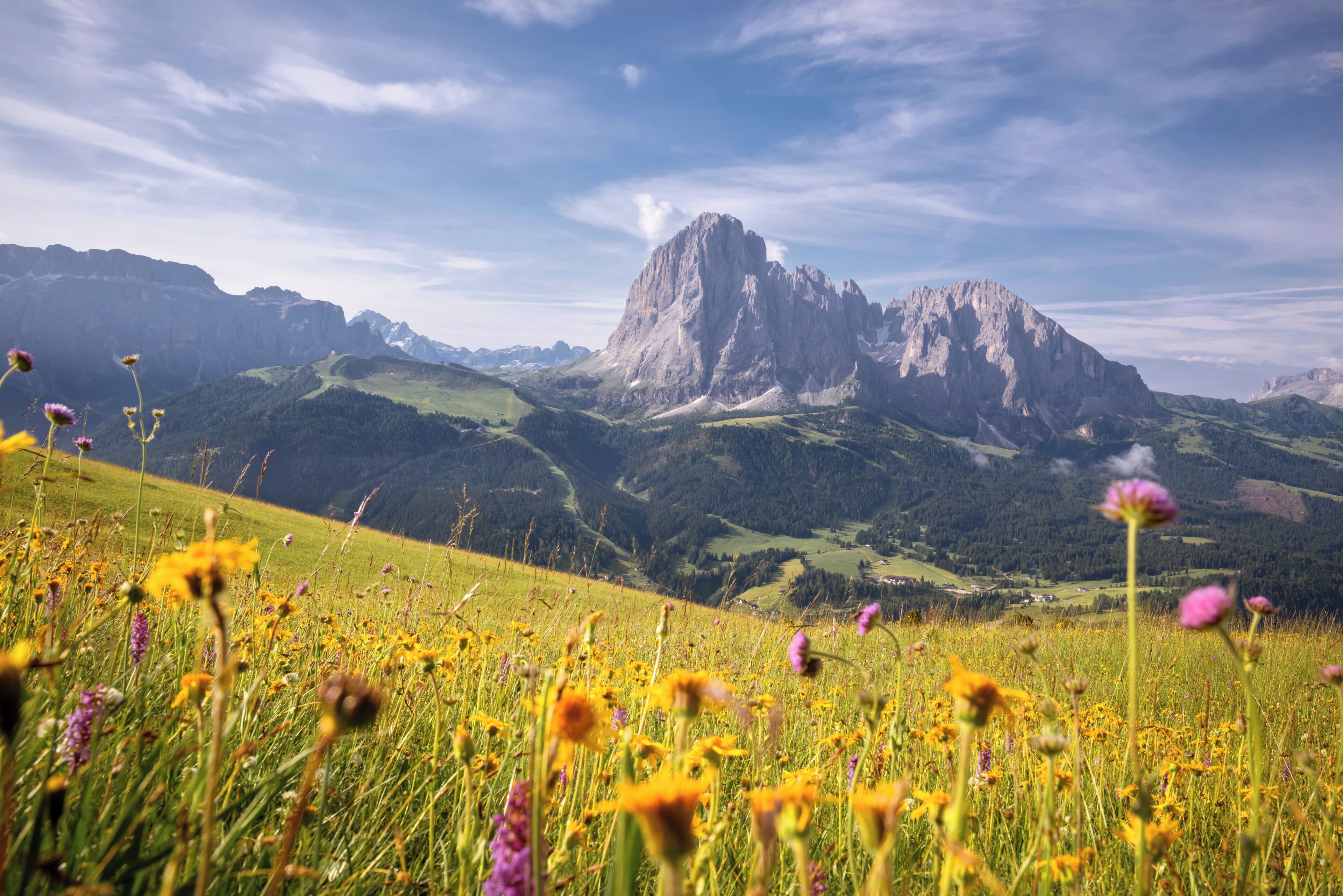Un paisaje montañoso con un pico rocoso destacado y un campo de flores silvestres en primer plano.
