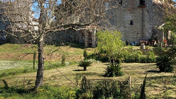 Edificio de piedra histórico con un campanario, rodeado por un jardín con diversas plantas y un cielo azul despejado.