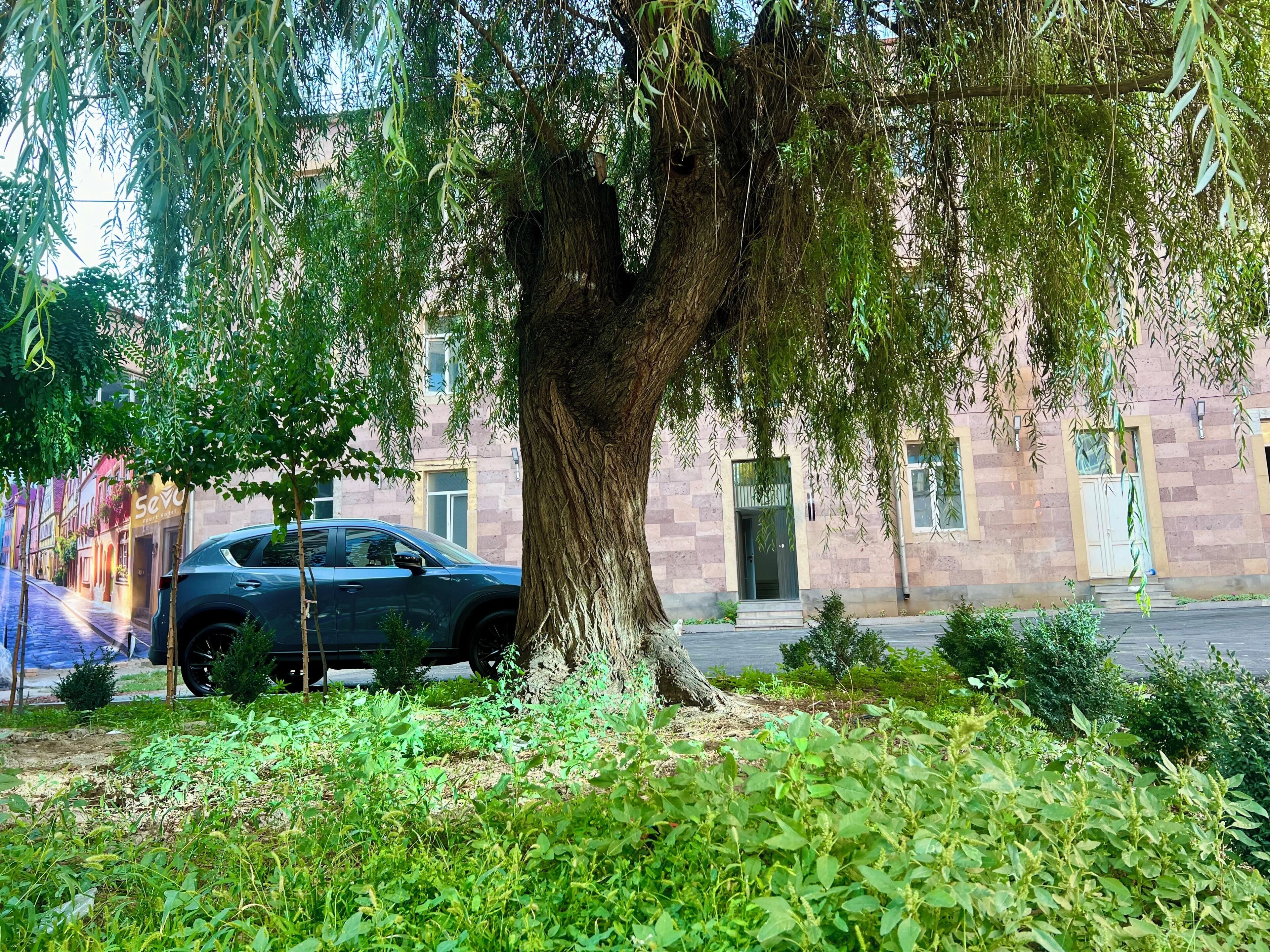 A tree-lined street with a parked car and a building with a stone facade.