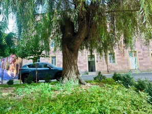 A tree-lined street with a parked car and a building with a stone facade.