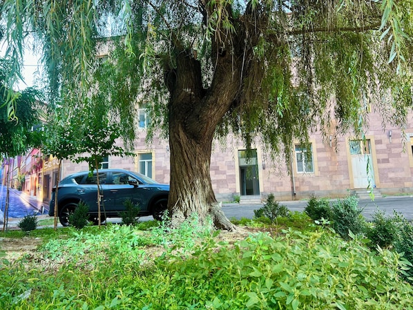 Una calle arbolada con un coche estacionado y un edificio de fachada de piedra.