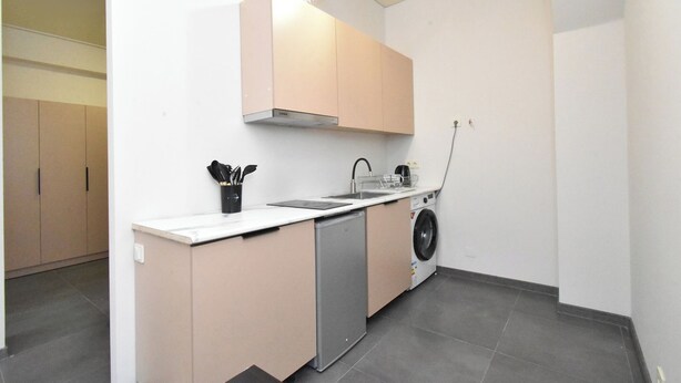 A compact kitchen with a dishwasher, washing machine, and a sink. - Seva Apart-Hotel (Yerevan)