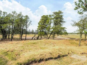Eine natürliche Landschaft mit Bäumen und grüner Böschung.