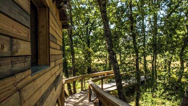 Eine Holzhütte mit einer Terrasse, die in einen bewaldeten Bereich führt.