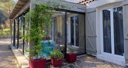 Artist's house with swimming pool in the Pièdes