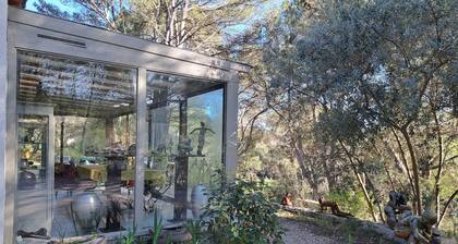 Artist's house with swimming pool in the Pièdes