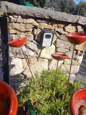 Miscellaneous - Between Vines and Stones in Pic St Loup (CLARET)