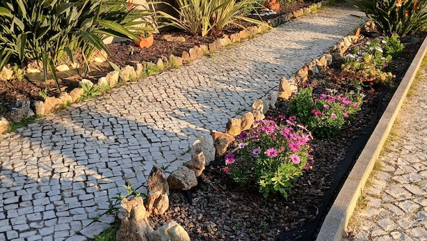 Un sendero pavimentado con un parterre, diversas plantas y una pared blanca al fondo.