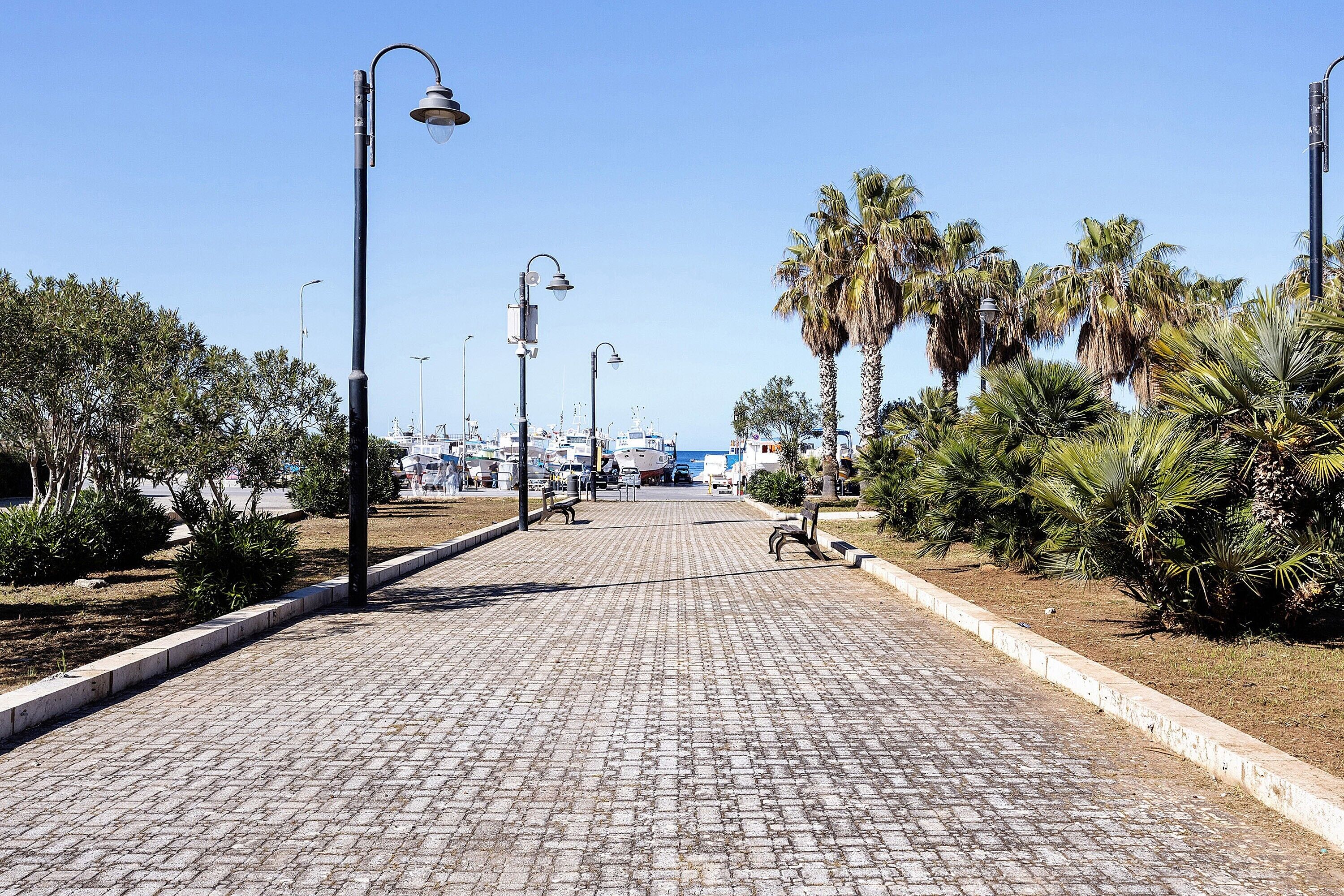 A paved walkway with street lamps, palm trees, and a distant view of boats.