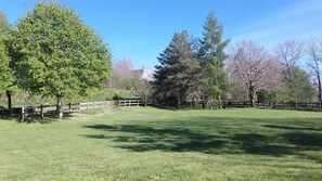 المنطقة المحيطة بالمنشأة