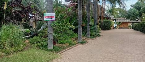 A reception sign for Green Oasis, a paved pathway, and tropical vegetation.