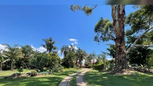 A pathway leading through a well-maintained garden with various trees and shrubs. - Green Oasis Lodges (Harare)