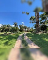 Un sendero que atraviesa un jardín cuidado, con varios árboles y arbustos.