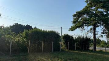 House, Garden View | Property grounds