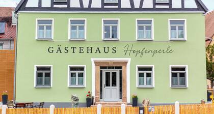 Apartment with terrace "Zauberhopfen"