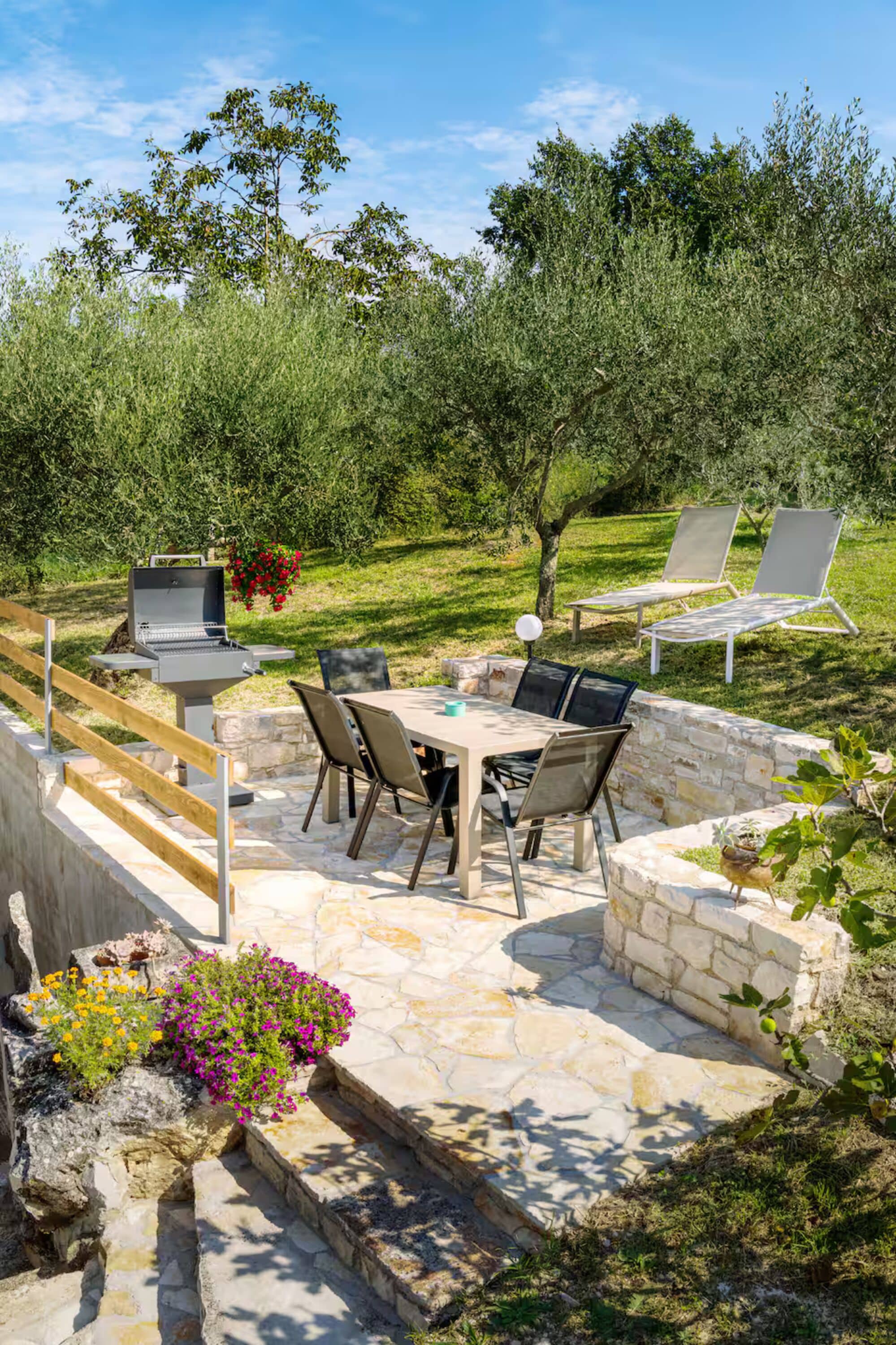 Terrasse/patio