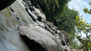 Une rive rocheuse, parsemée de gros blocs de pierre, bordant une rivière aux eaux vives.