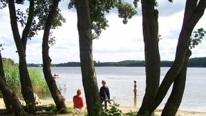 Blick auf einen See mit Bäumen, einem Steinweg und einem Haus in der Ferne.