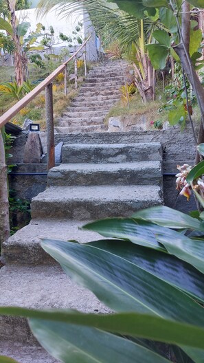 Property grounds - Praia do Sagi (Baía Formosa)