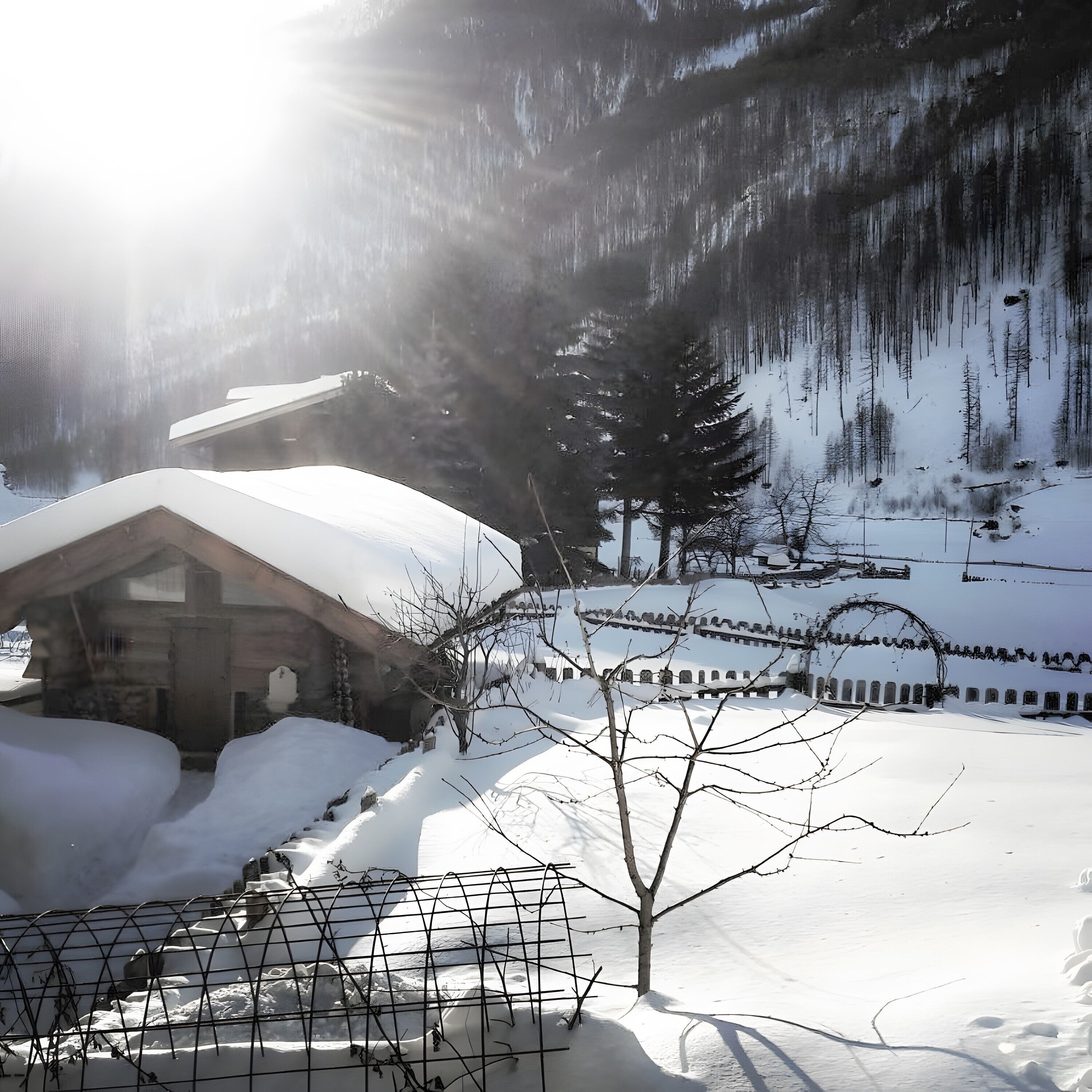 Enceinte de l’hébergement