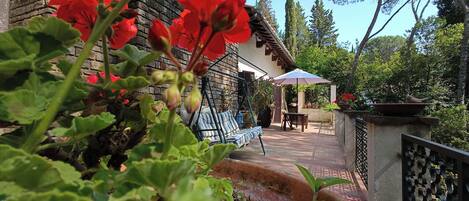 Terraza o patio