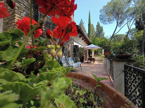 A stone's throw from the village and vineyards, villa with large terrace among pine and cypress trees