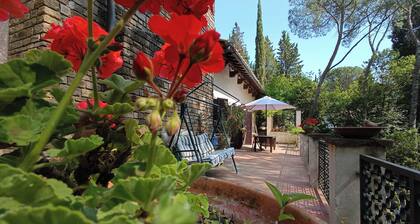 A stone's throw from the village and vineyards, villa with large terrace among pine and cypress trees