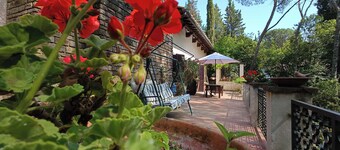 A stone's throw from the village and vineyards, villa with large terrace among pine and cypress trees