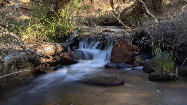 Un pequeño arroyo que serpentea sobre rocas en un entorno natural.