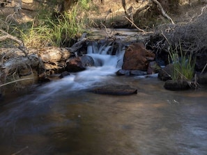 Un petit ruisseau qui serpente sur des rochers, dans un environnement naturel.