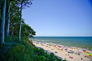 A beach with a sandy shore, trees, and the ocean. - Comfortable holiday home (no. 13), summer pool (Rewal)