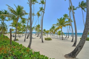 A beach with palm trees and sun loungers. - ®{3BR~Hemingway~Retreat}@JuanDolio+Pool (Juan Dolio)