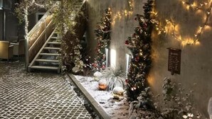 A staircase leading up to a building with a concrete wall adorned with string lights and floral arrangements.