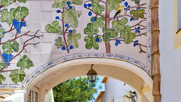 A narrow corridor with a tiled archway, potted plants, and a view of the outside. - Jacarand Apartment in Quinta Velha by GT House (Portimão)