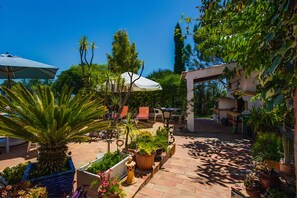 Un espace patio agrémenté de plantes en pot, de meubles d’extérieur et d’une pergola.
