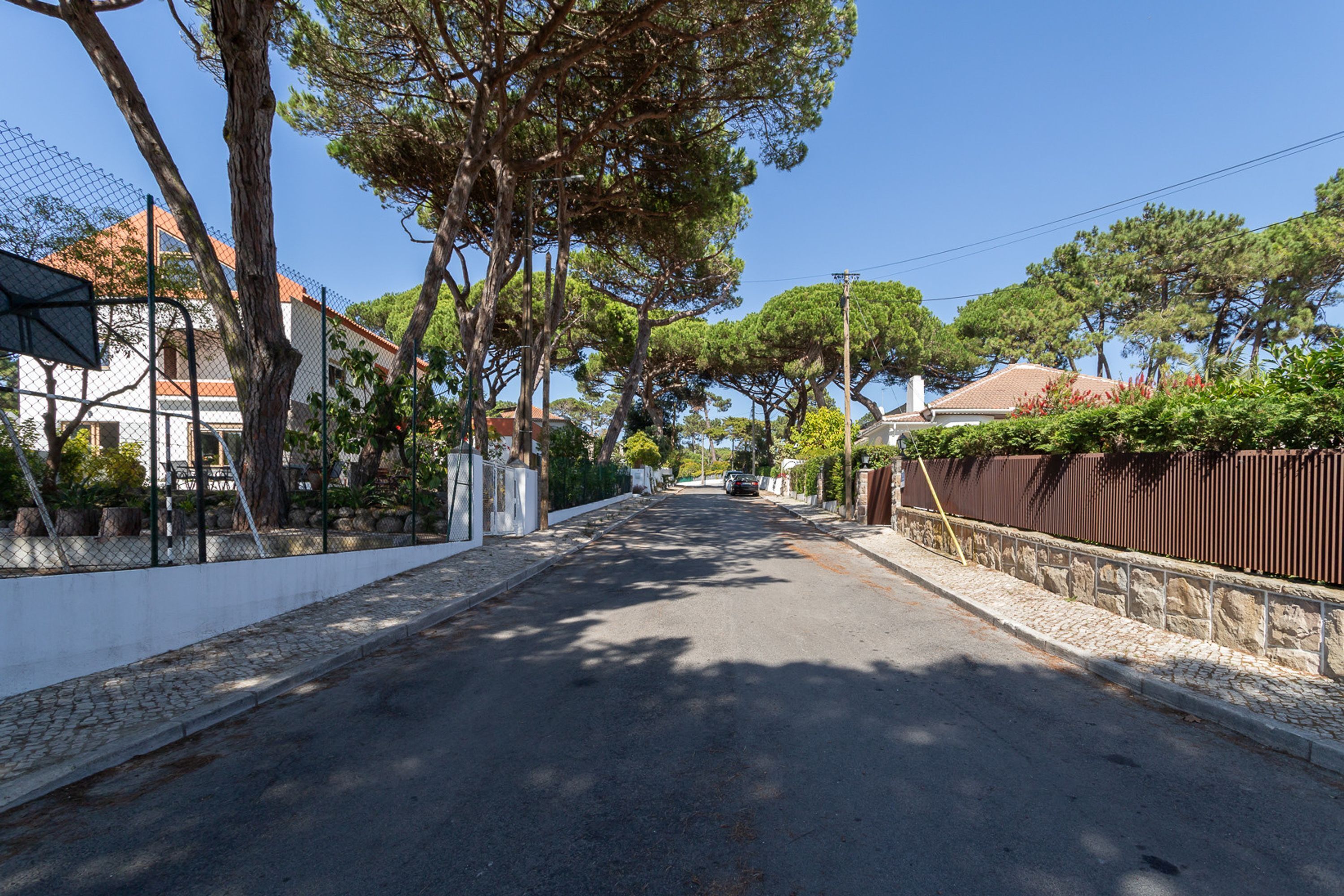Una tranquila calle residencial bordeada de árboles y casas, con pavimento y una cerca a un lado.
