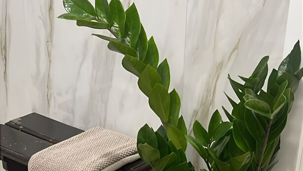 A potted plant in a woven basket, a bench with a blanket, and a marble wall. - Goleg Boutique Apartment By Gt House (Golega)