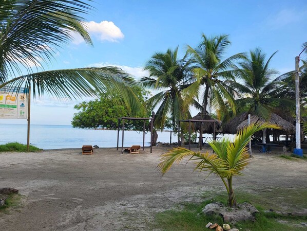 A beach with palm trees, a thatched-roof structure, and wooden chairs.