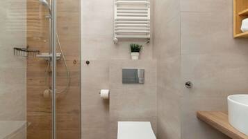 Shower, hair dryer, towels, shampoo