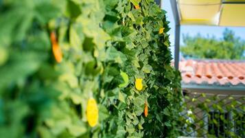 Klassiek appartement, terras, uitzicht op tuin | Details aan de buitenkant