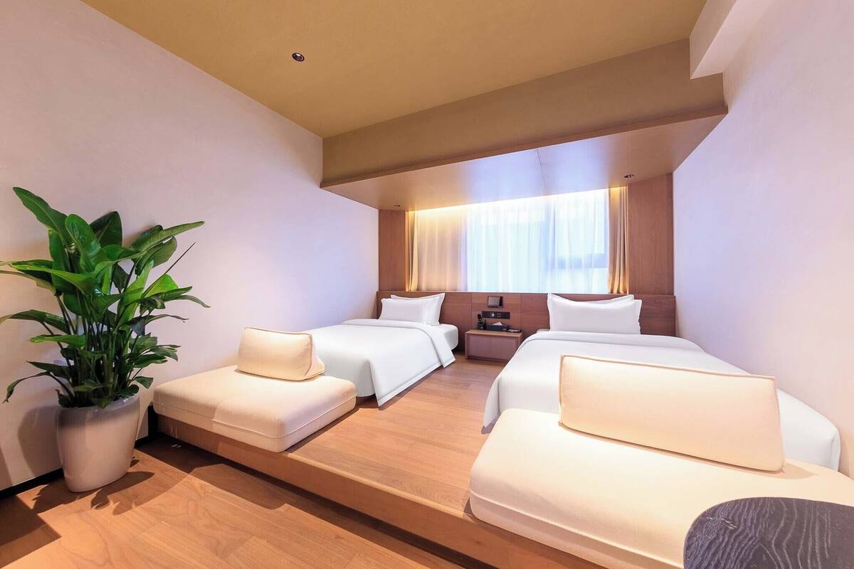 A hotel room with two beds, a bedside table, a potted plant, and a window with curtains.