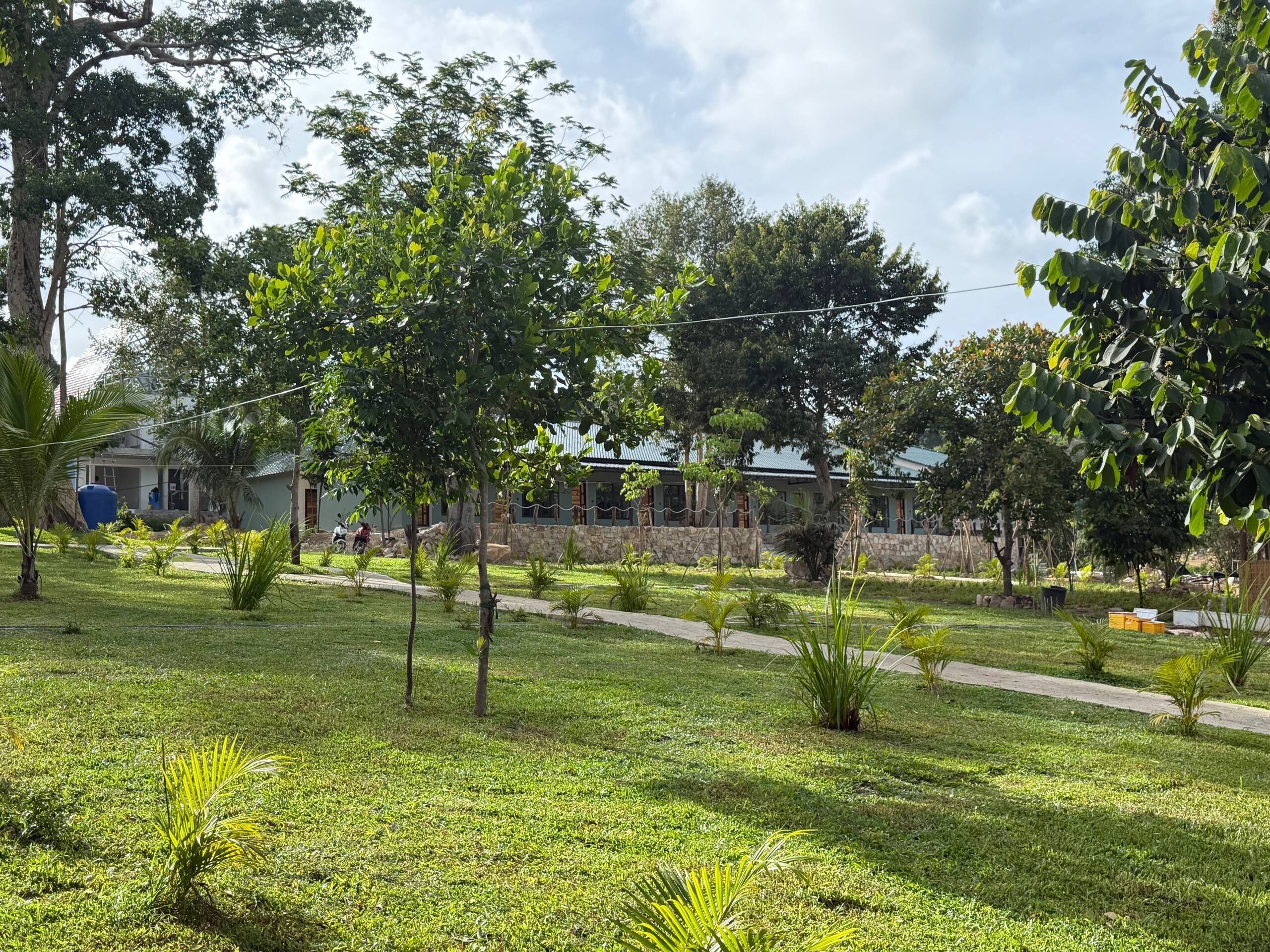 A well-maintained grassy area with trees and a stone wall.