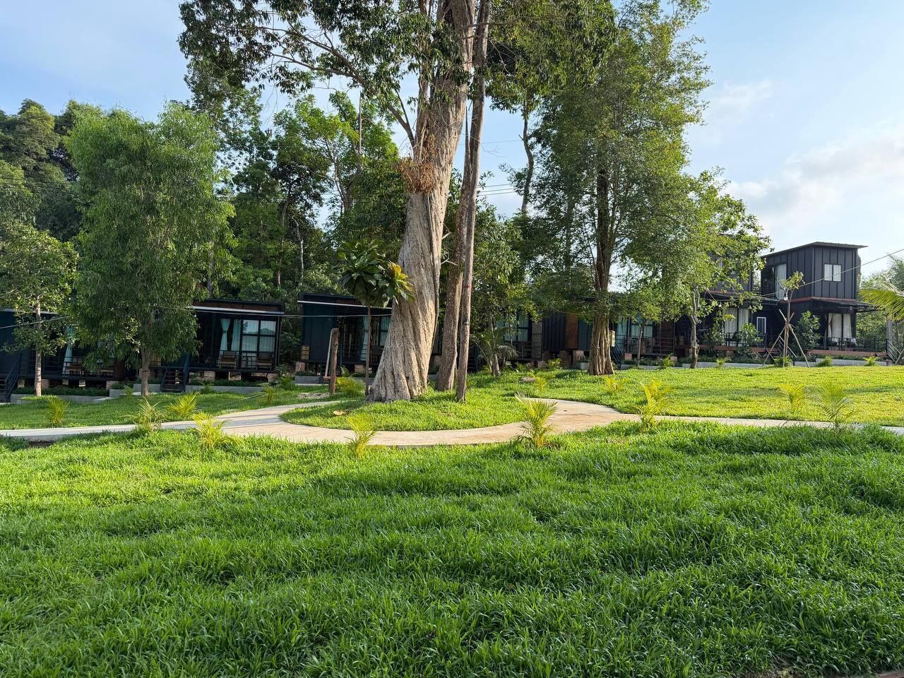 Un espacio verde con árboles y un edificio de diseño moderno.