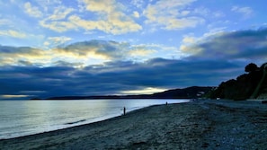 Beach - Elizabeth Carne (No Man's Land)