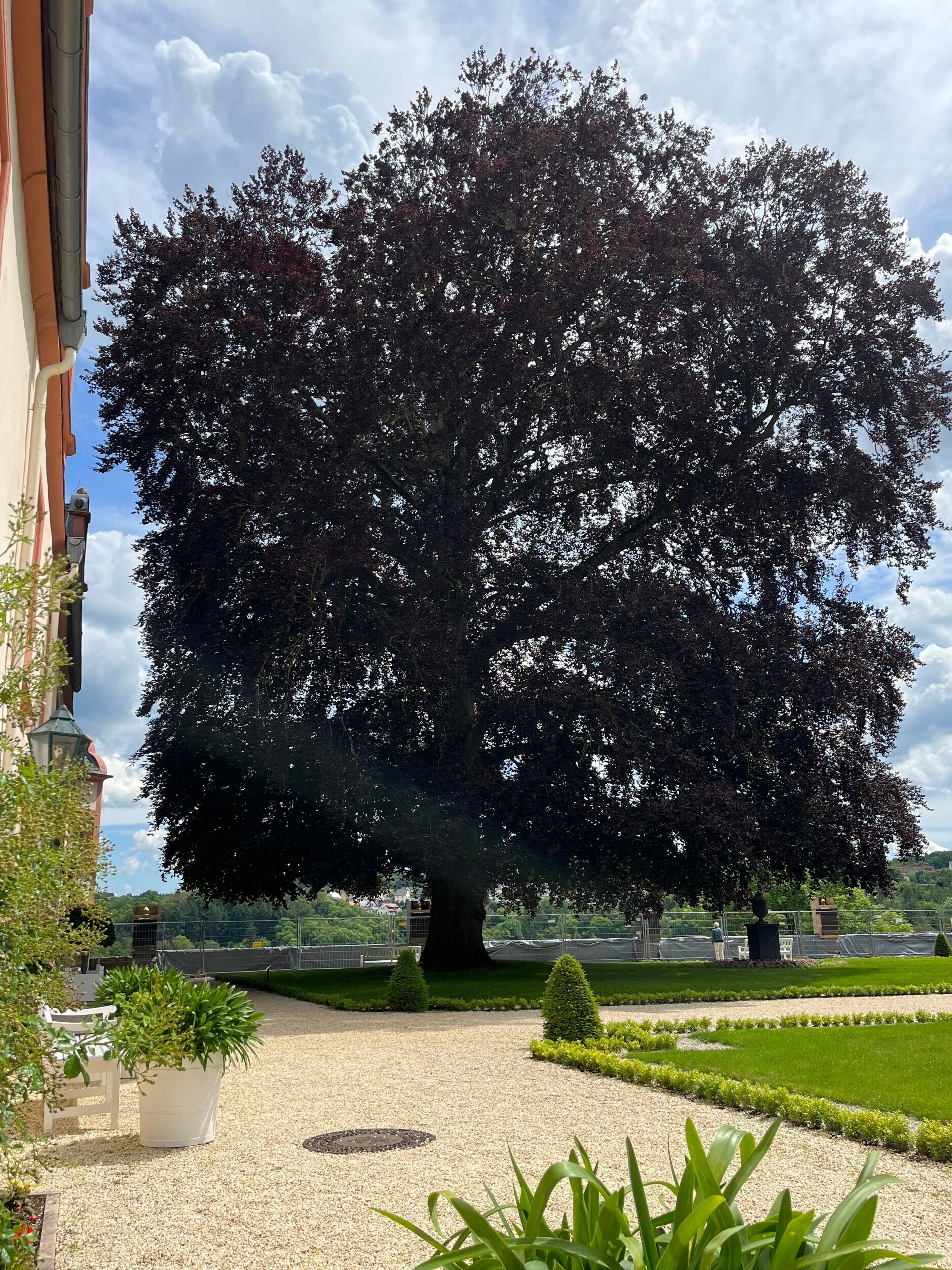 Enceinte de l’hébergement