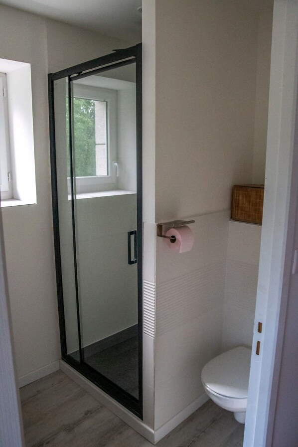 A bathroom with a glass-enclosed shower, a toilet, and a window. - maison d'hôtes Lacour (Augignac)
