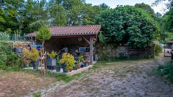 Ulkopuoli