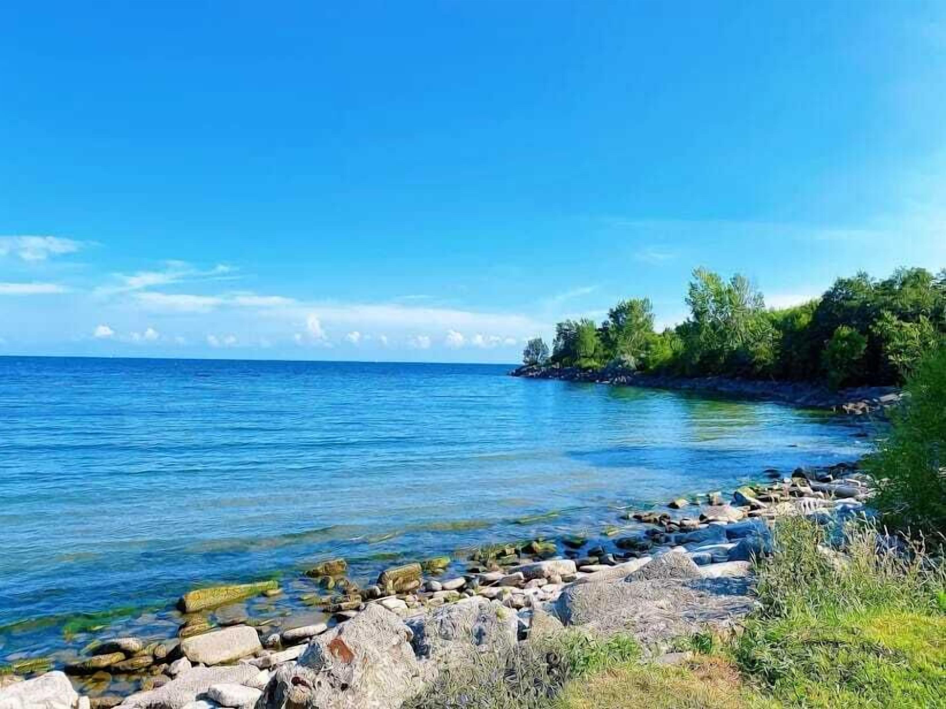 Explore the best of Toronto just minutes away, from vibrant street art and local markets to scenic parks, beaches, and stunning skyline views.